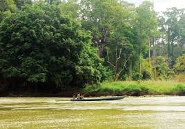 Le parc national de Yok Don - ảnh 3